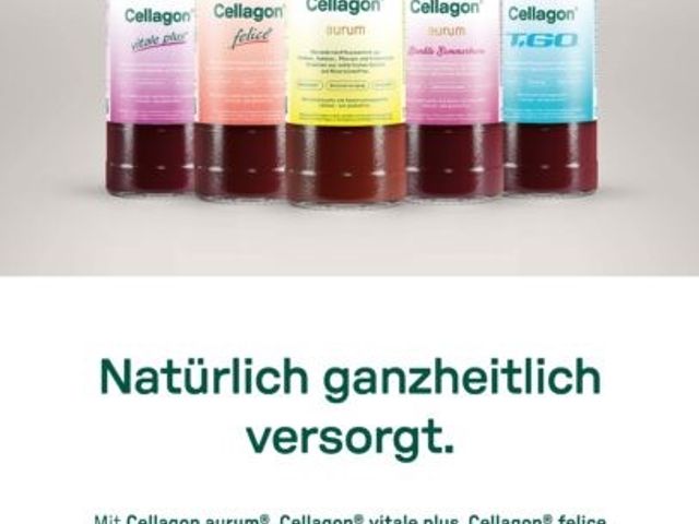 Steiner's Wellness-Appartements